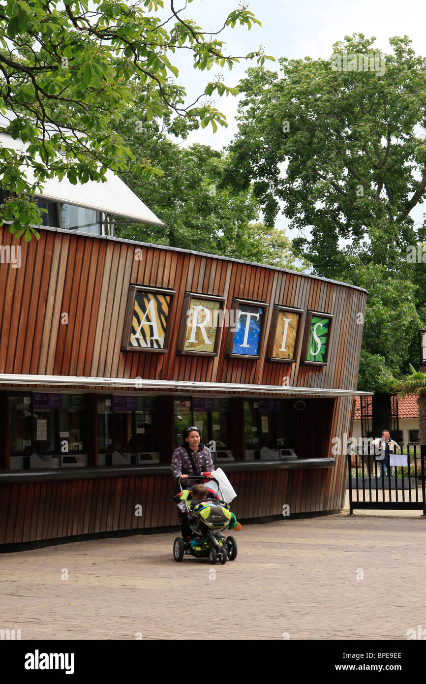 Artis Zoo in Amsterdam Stock Photo Alamy