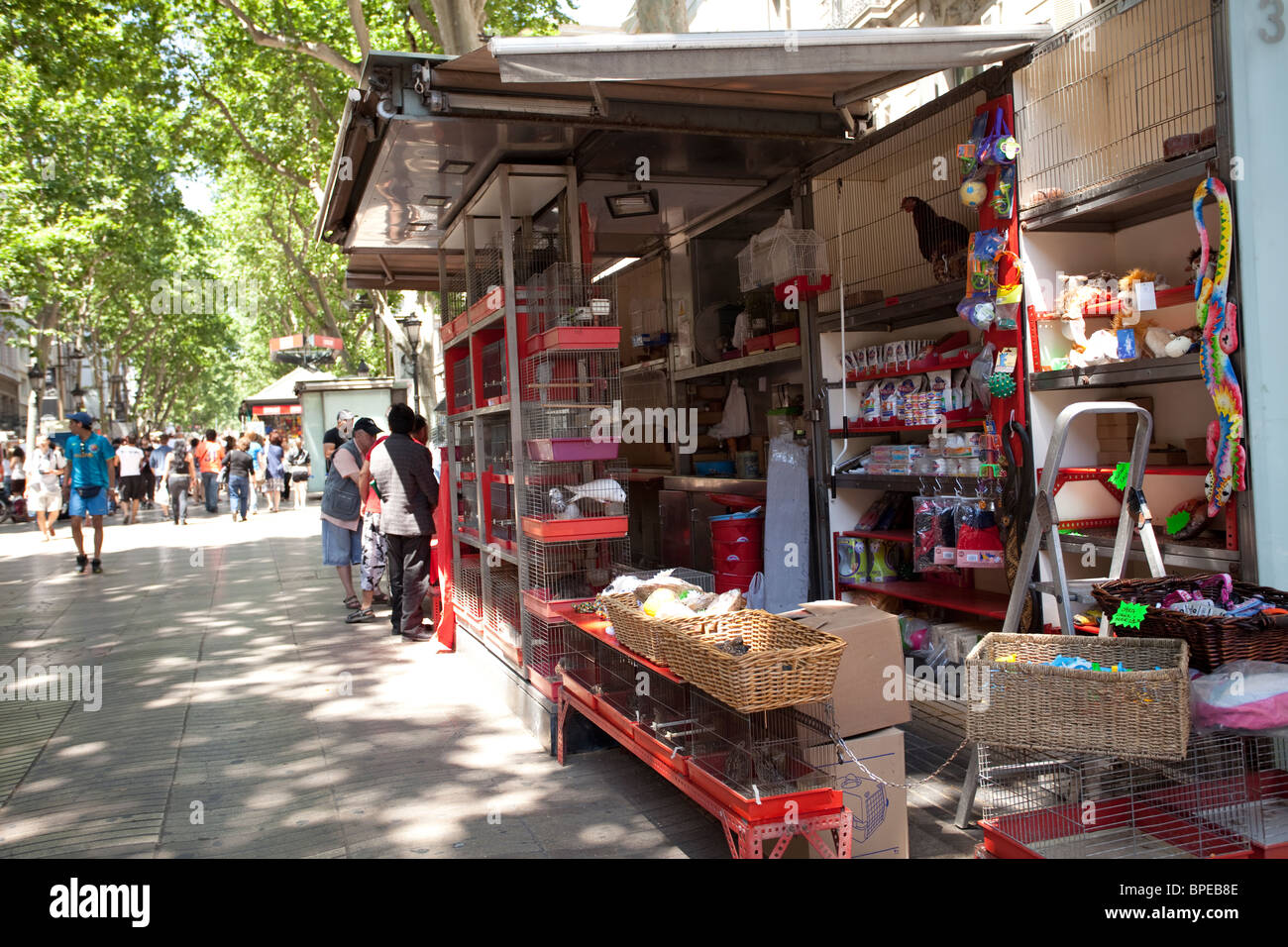 Barcelona Las Ramblas Bird vendor Stock Photo Alamy