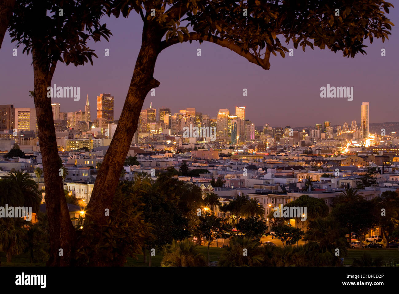 Image showcasing USA, California, San Francisco, Financial District skyline with high ...