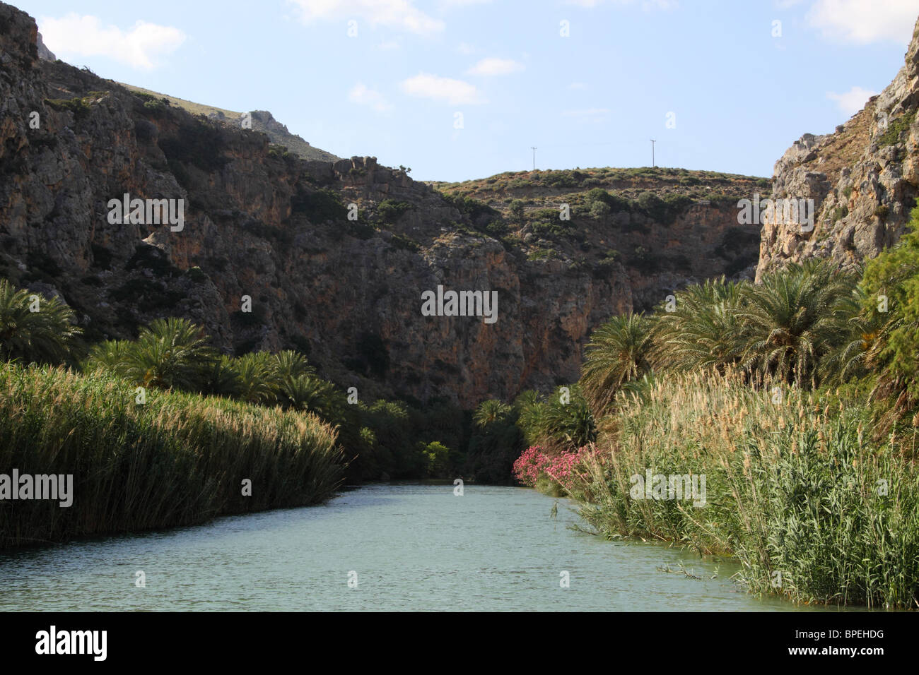Crete Forests Preveli palm forest hi-res stock photography and images - Alamy