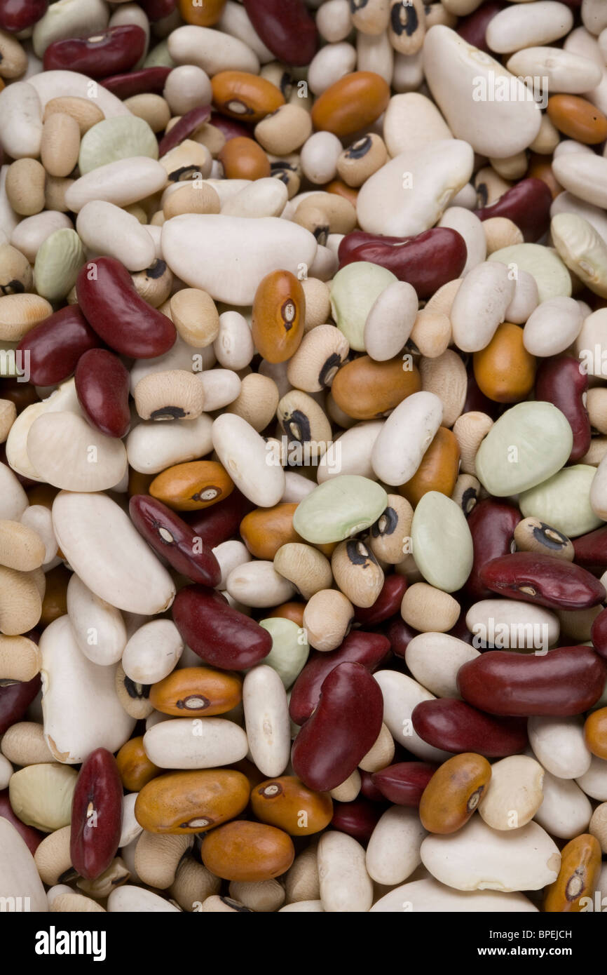 black eyed beans alubia beans red kidney beans dutch brown beans baby lima beans butter beans haricot beans Stock Photo