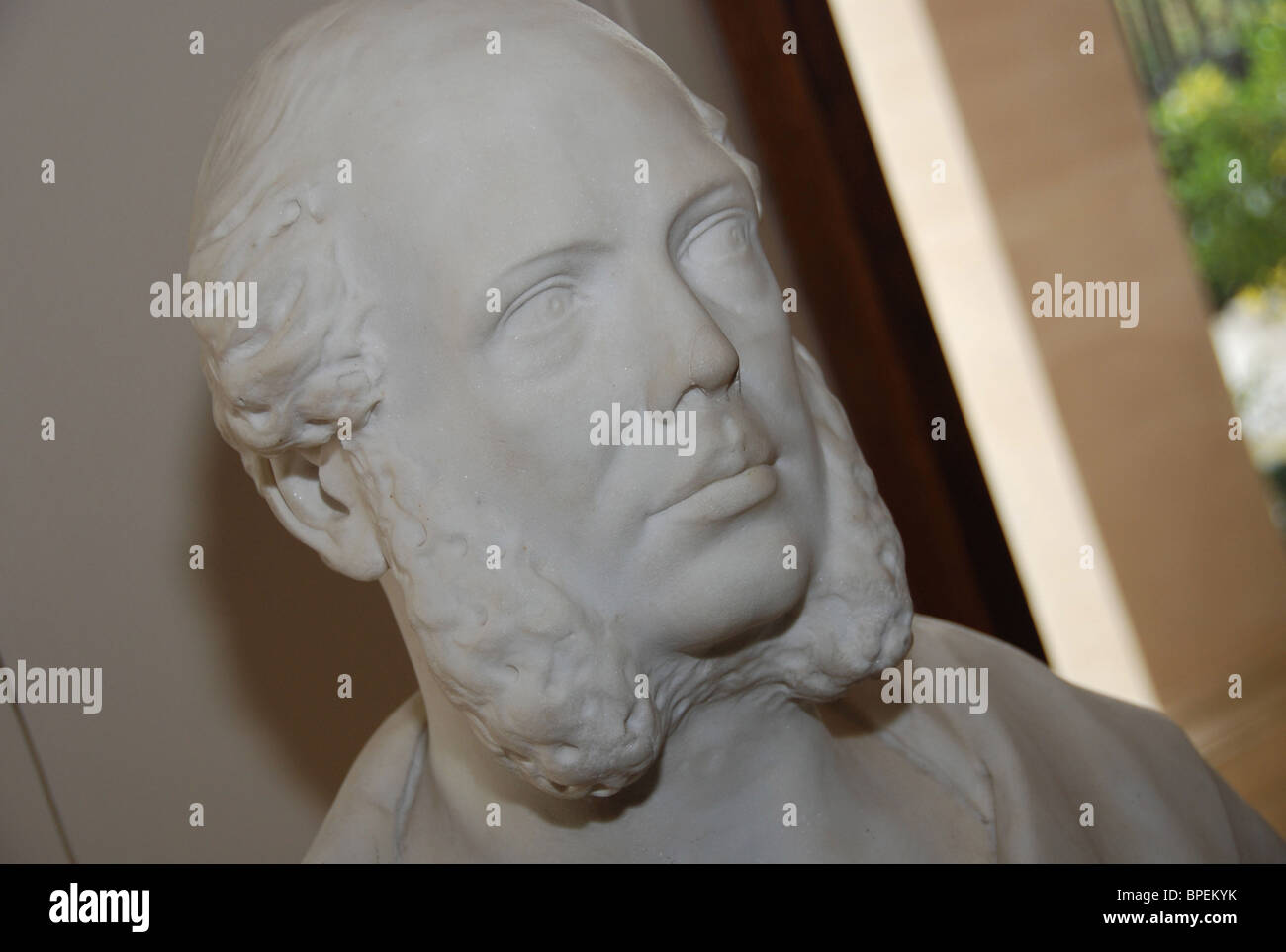 statue of head Stock Photo Alamy