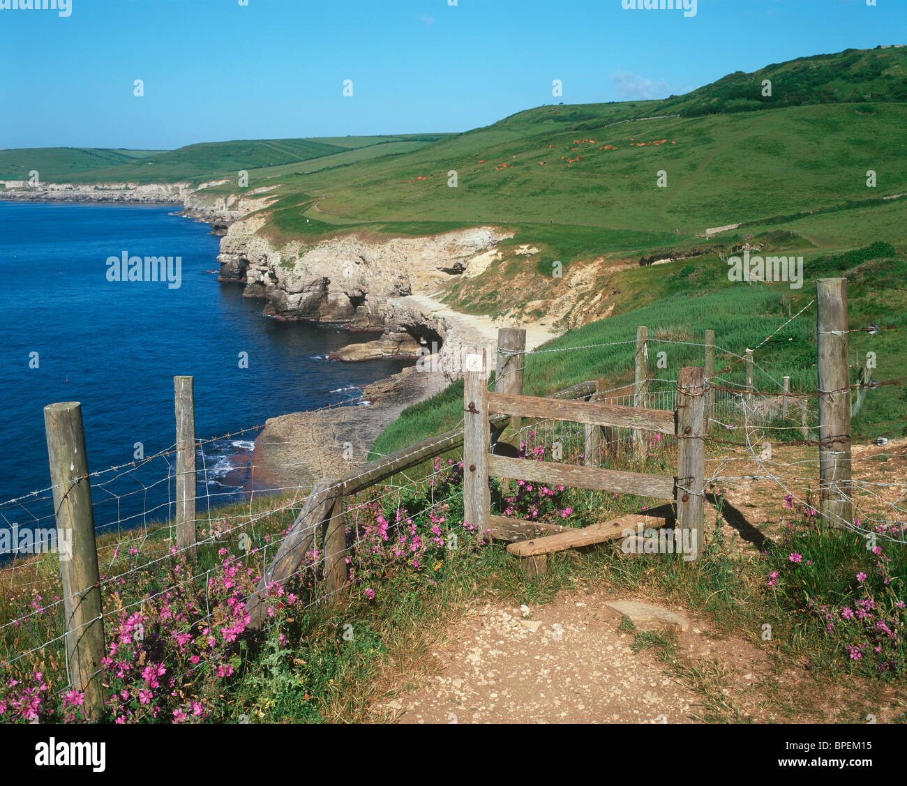 Dancing Ledge, Langton Matravers, Dorset, UK Stock Photo Alamy