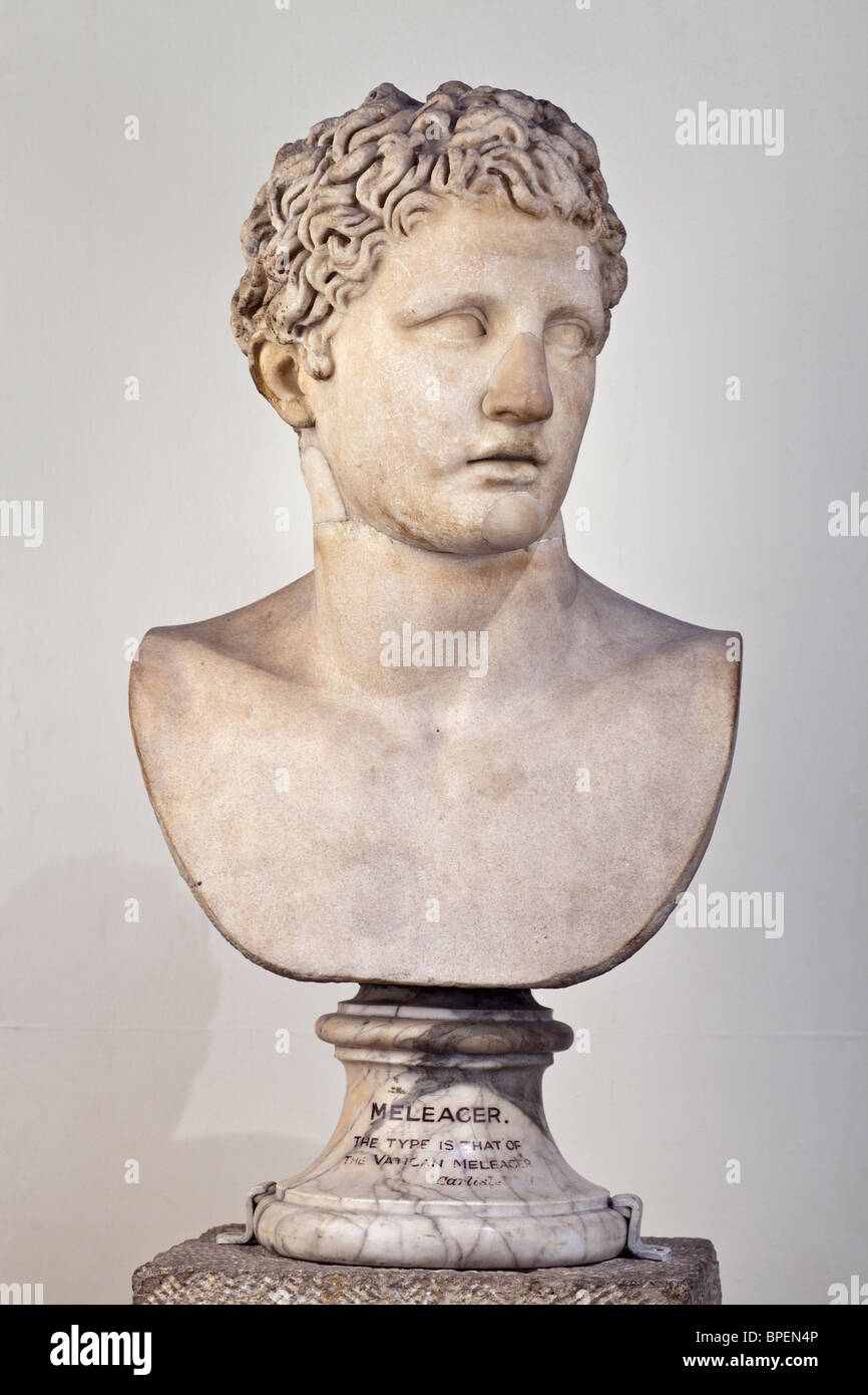 Bust of Meleager in London of the Vatican type. See description for more information. Stock Photo