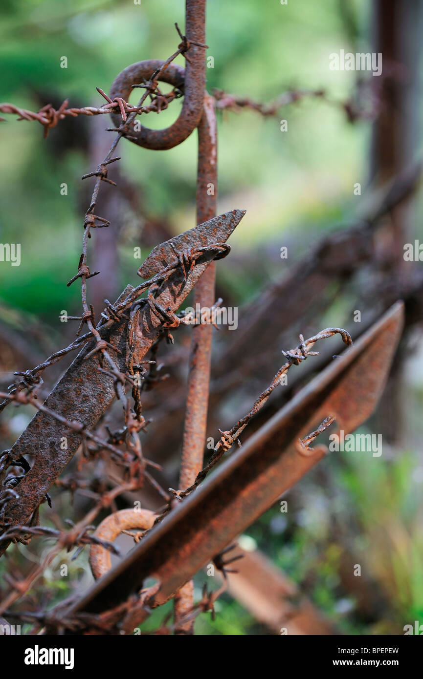Ww1 battlefield barbed wire hires stock photography and images Alamy