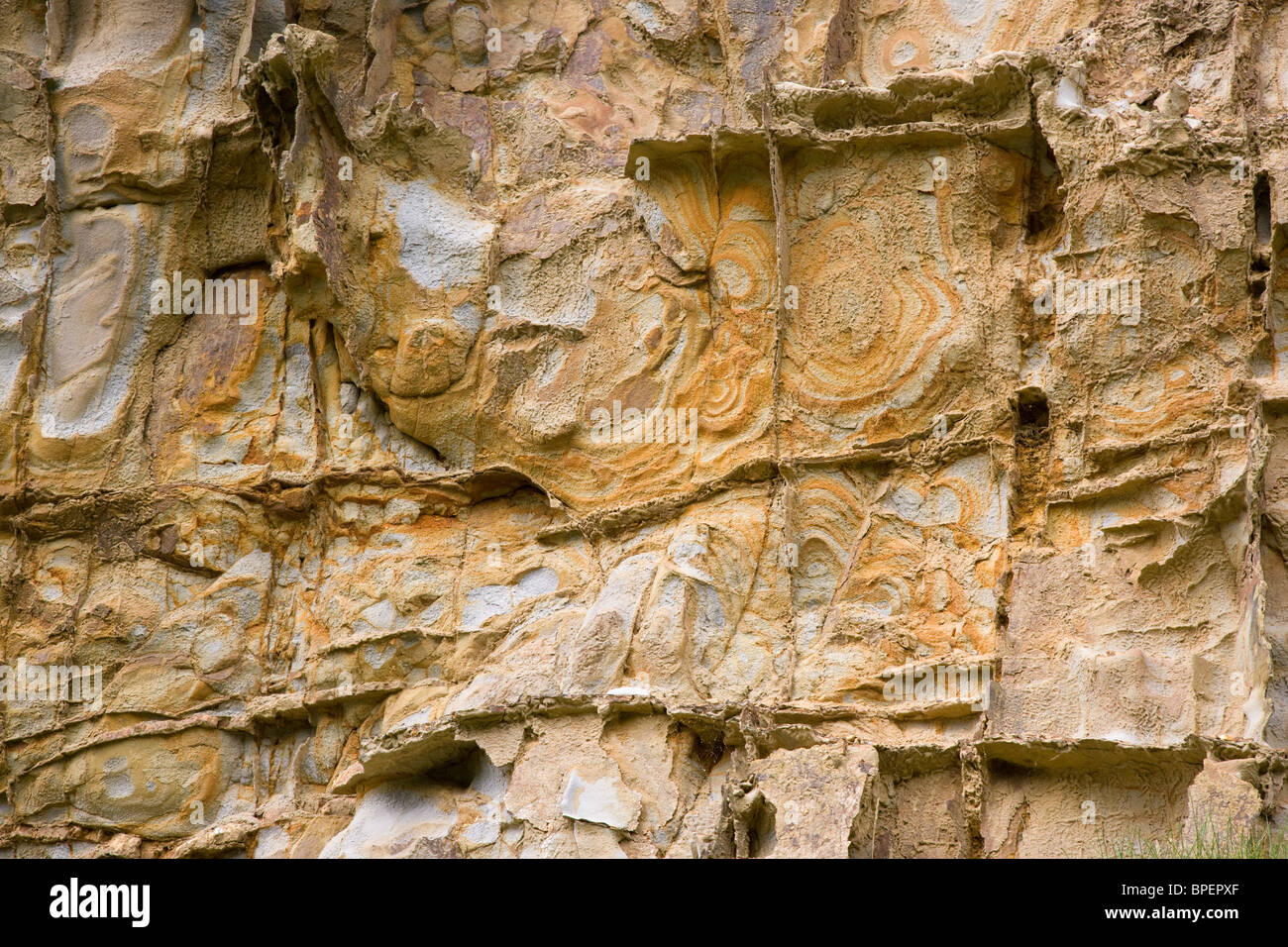 Banding wheel hi-res stock photography and images - Alamy