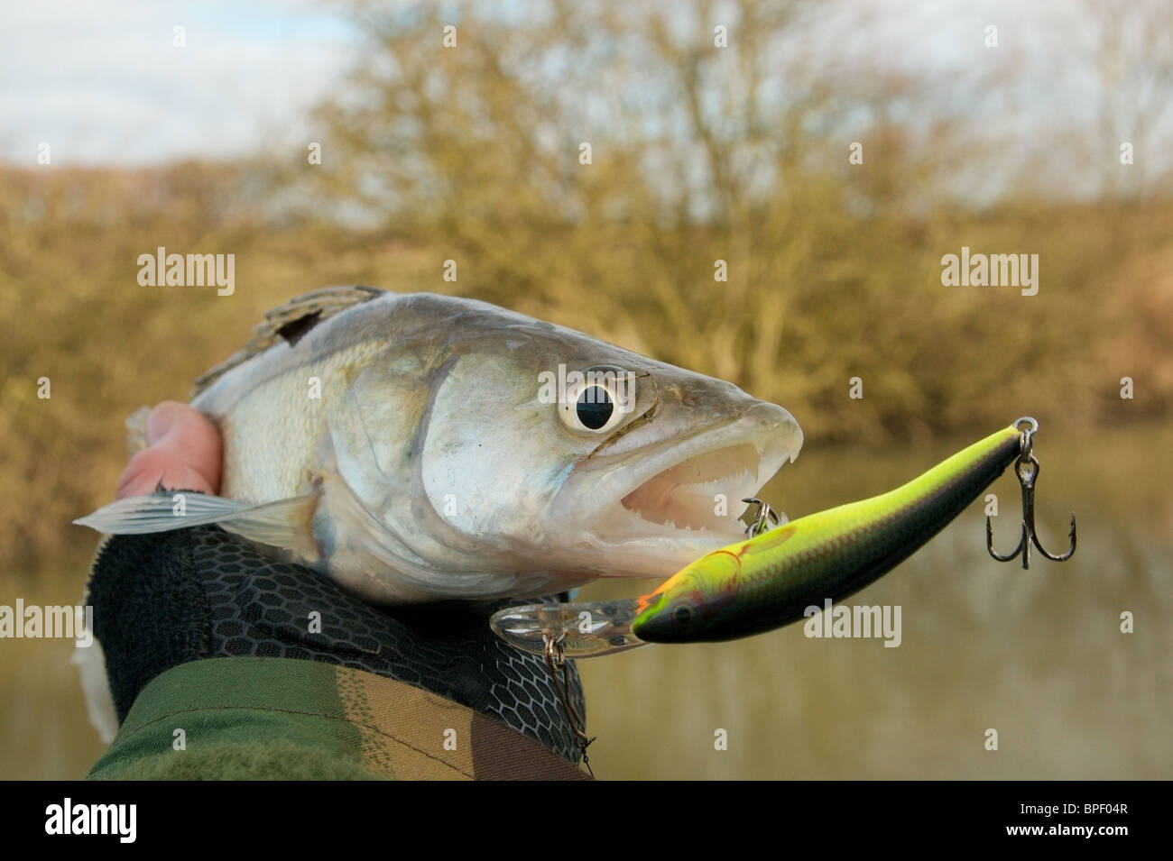 Crankbait hi-res stock photography and images - Page 2 - Alamy