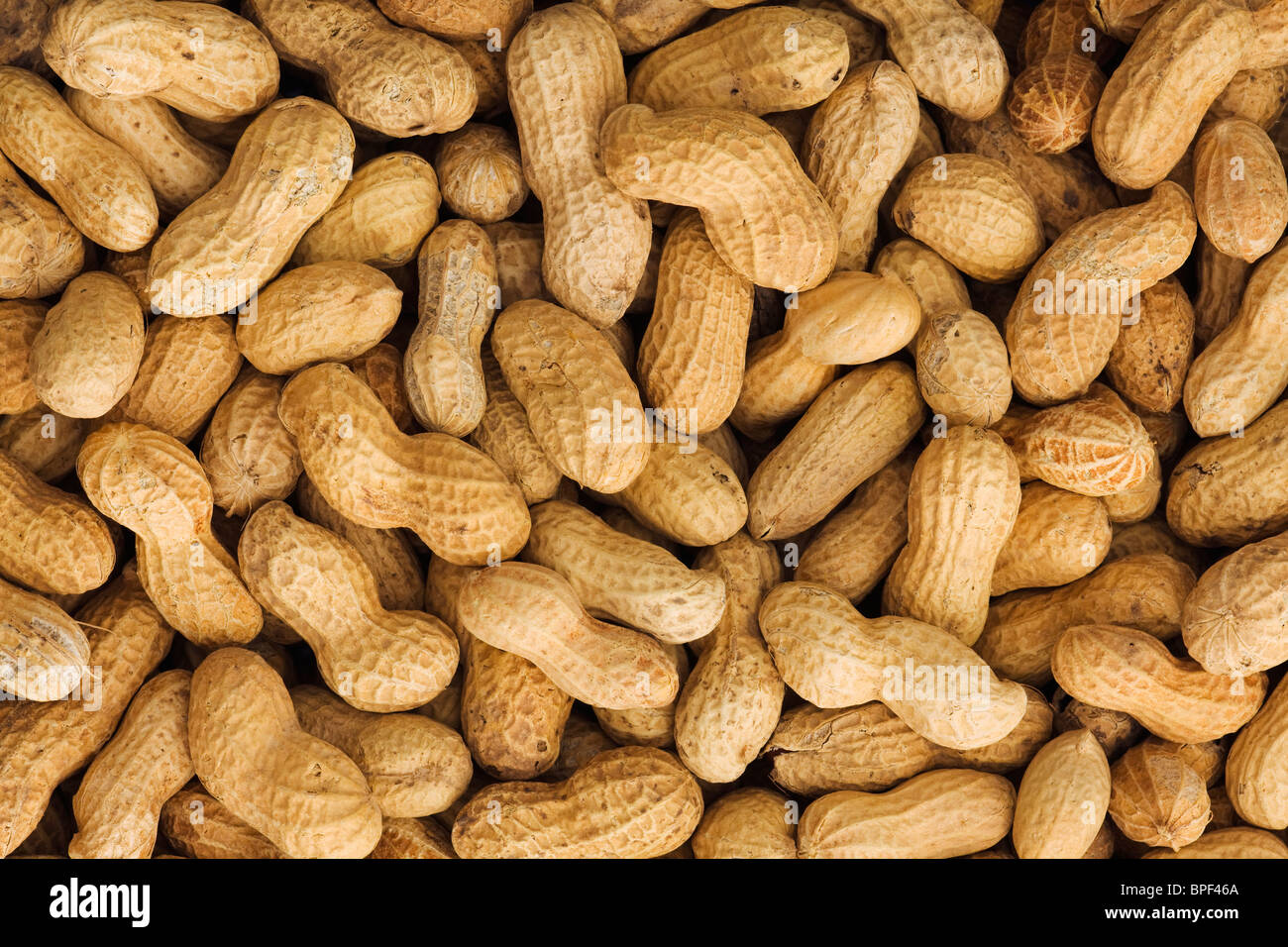 Closeup of unshelled peanuts Stock Photo Alamy