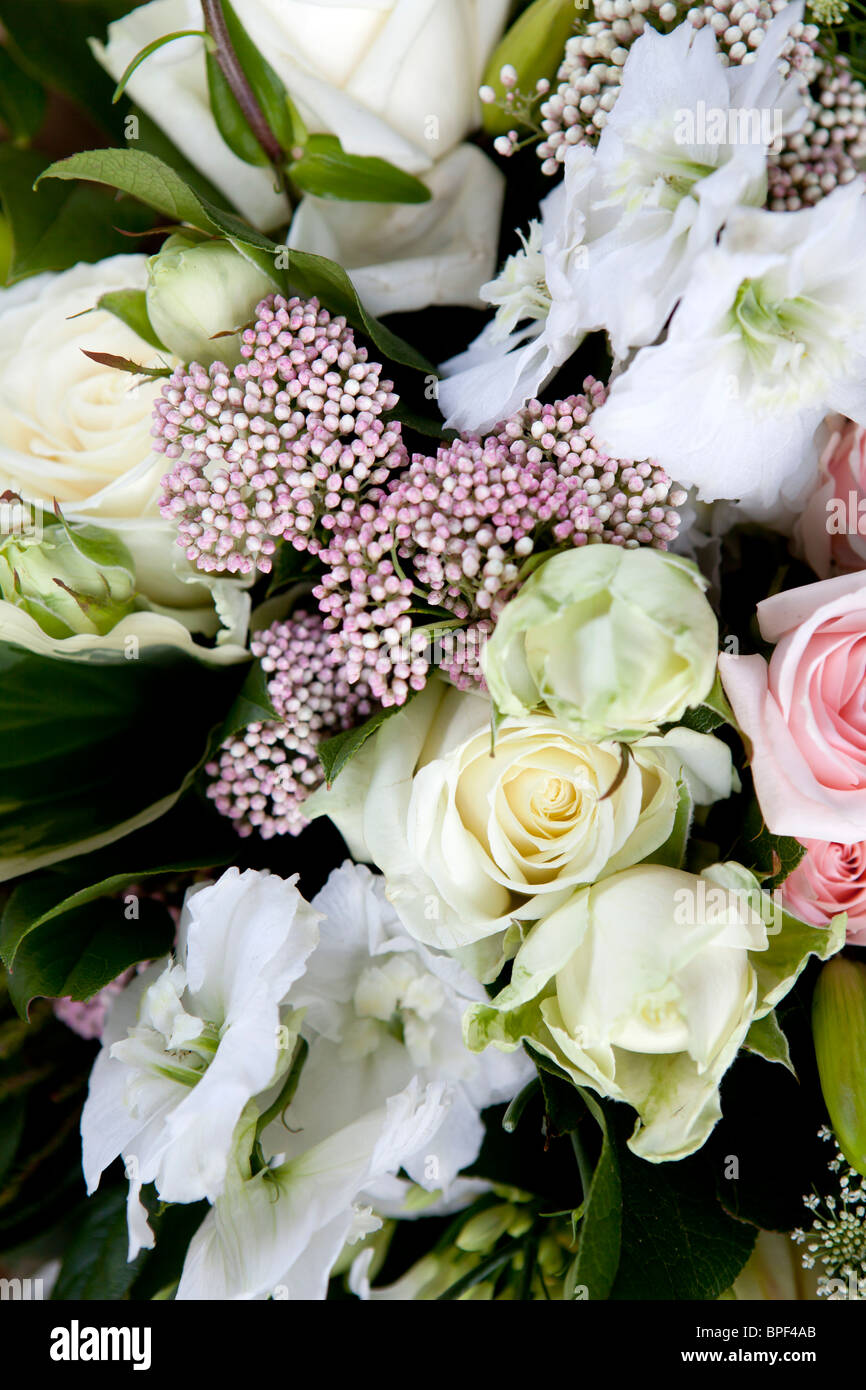 Bouquet with white and pink rose. still life Stock Photo