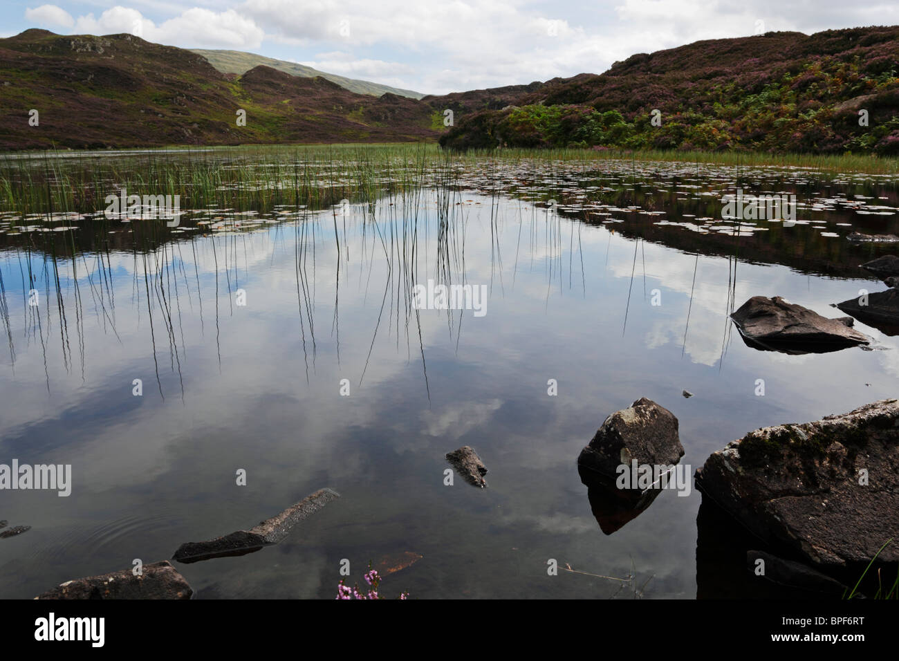 Reflections on Dock Tarn in the Lake District National Park, Cumbria. Stock Photo