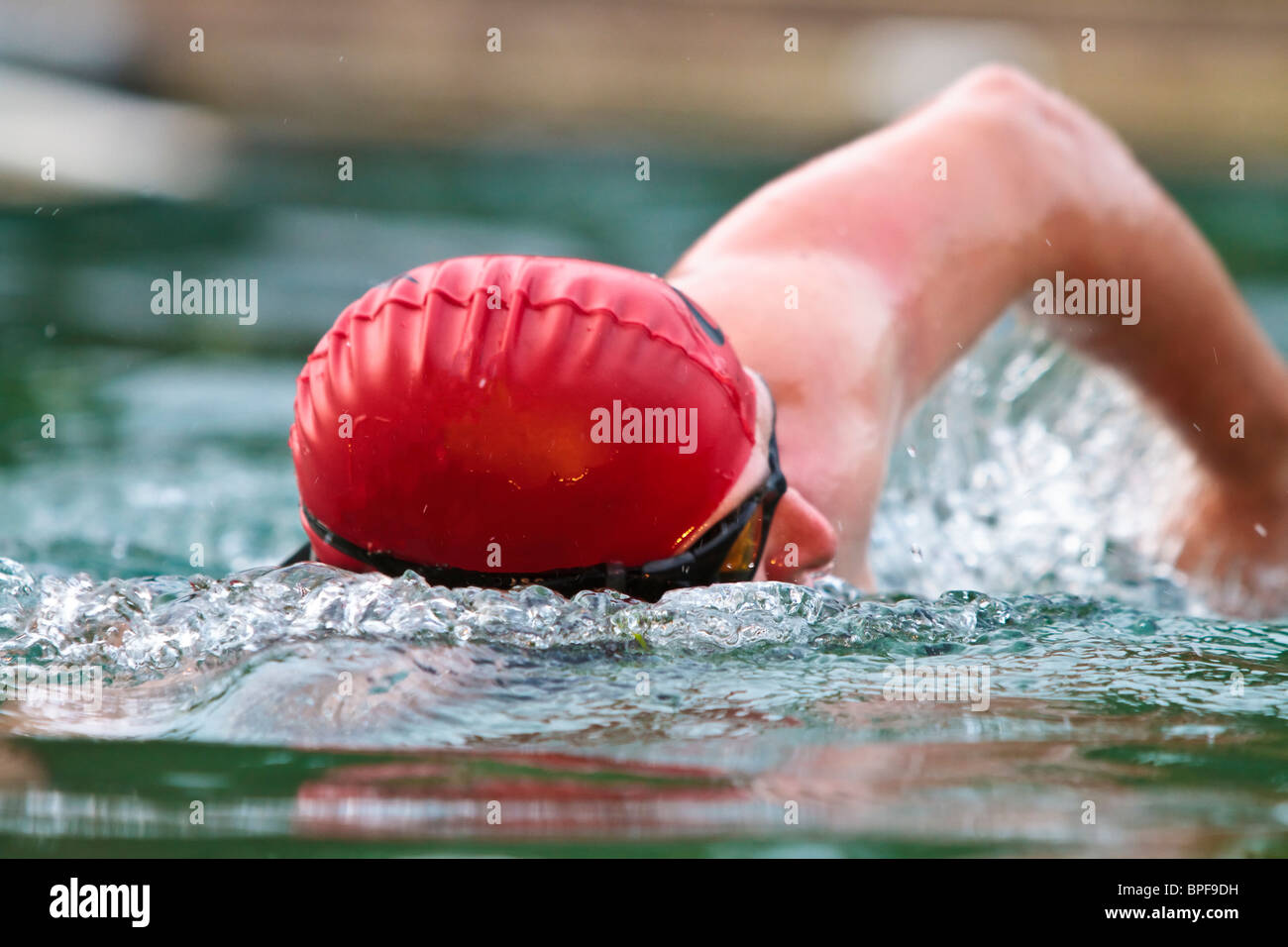 Close up of make swimmer doing freestyle in open water Stock Photo