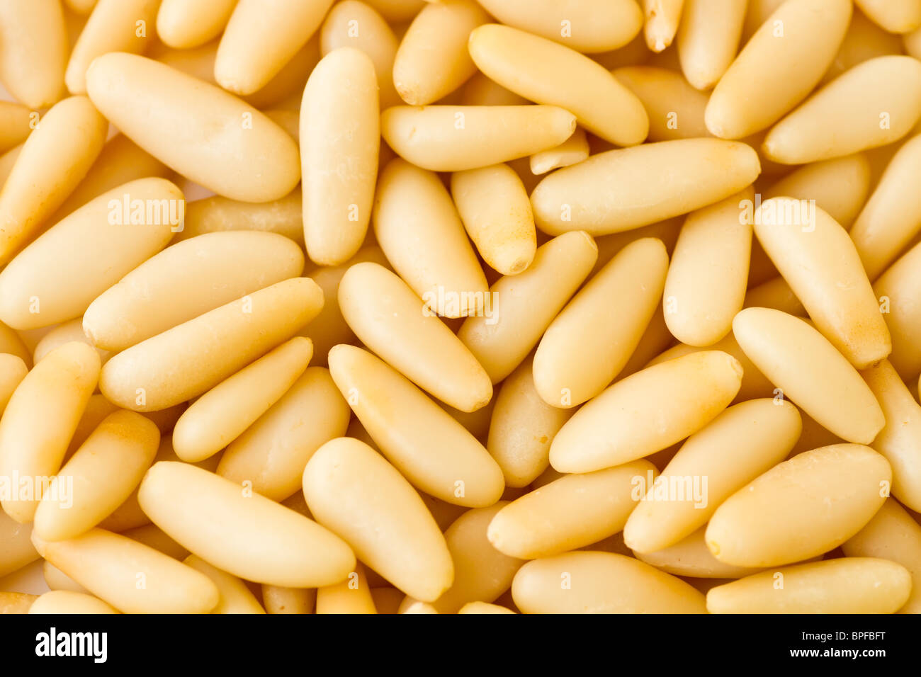 Pine nuts Stock Photo