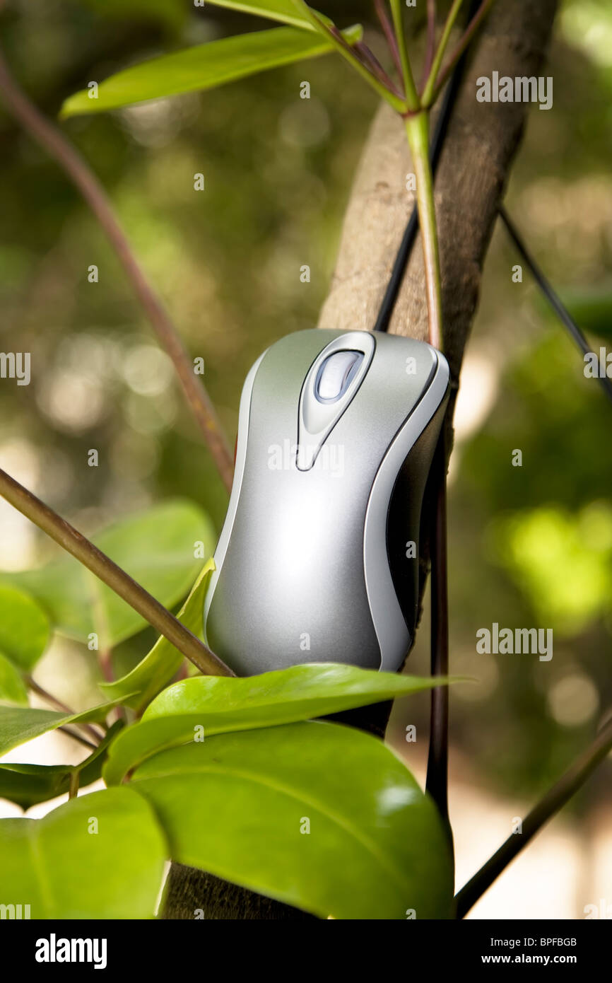 Green computer mouse on grass hi-res stock photography and images - Alamy