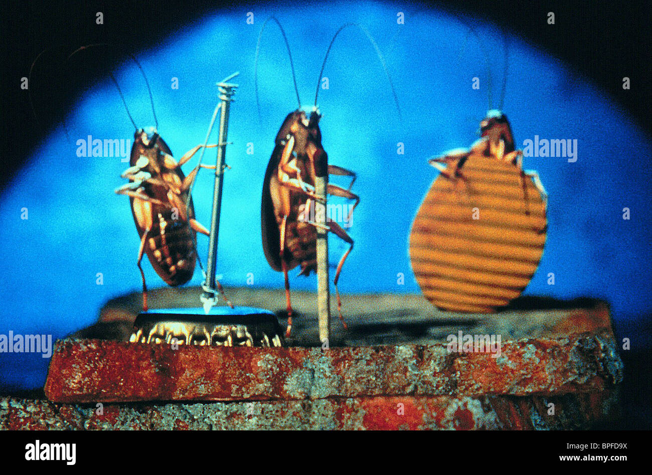 Joes Apartment High Resolution Stock Photography and Images Alamy