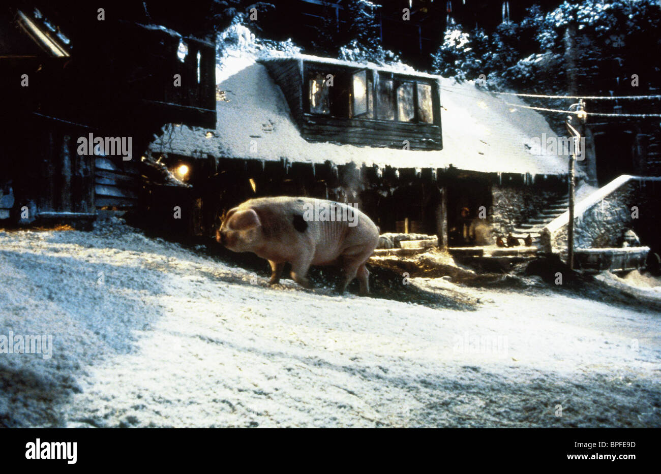 PIG IN SNOW COVERED YARD 101 DALMATIANS (1996 Stock Photo