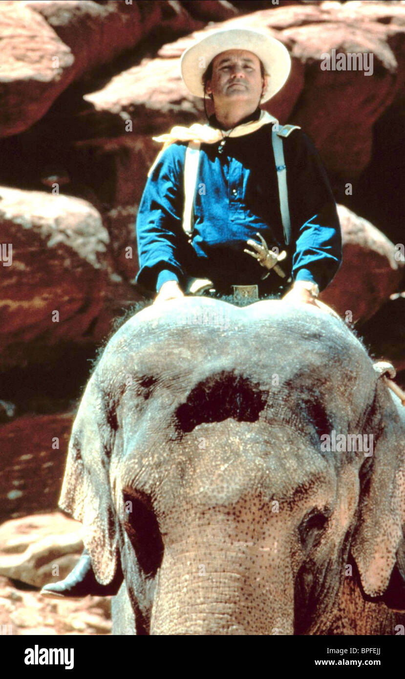 Larger Life 1996 Bill Murray High Resolution Stock Photography And Images Alamy