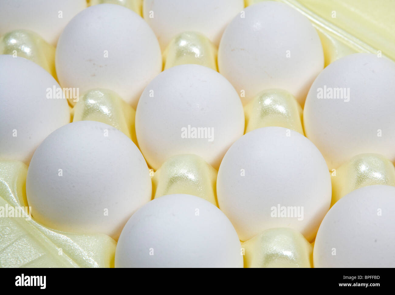 White and brown eggs in cartons.  Stock Photo