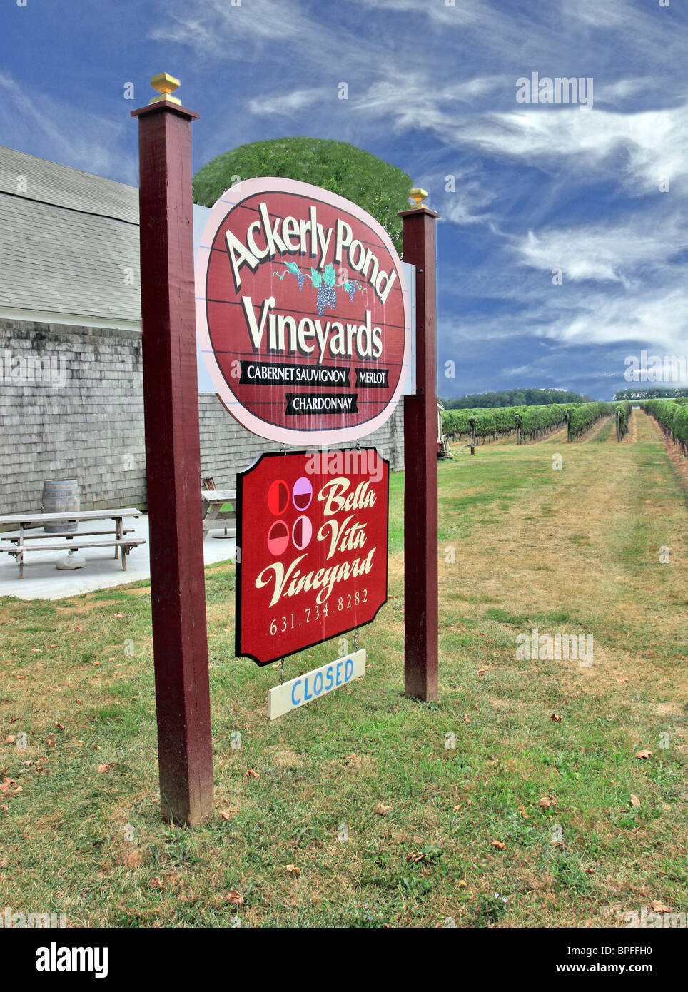 Ackerly Pond and Bella Vita winery and vineyards Peconic north fork of