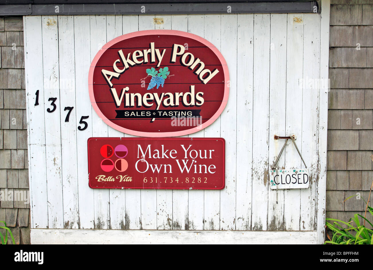Ackerly Pond and Bella Vita winery and vineyards Peconic north fork of