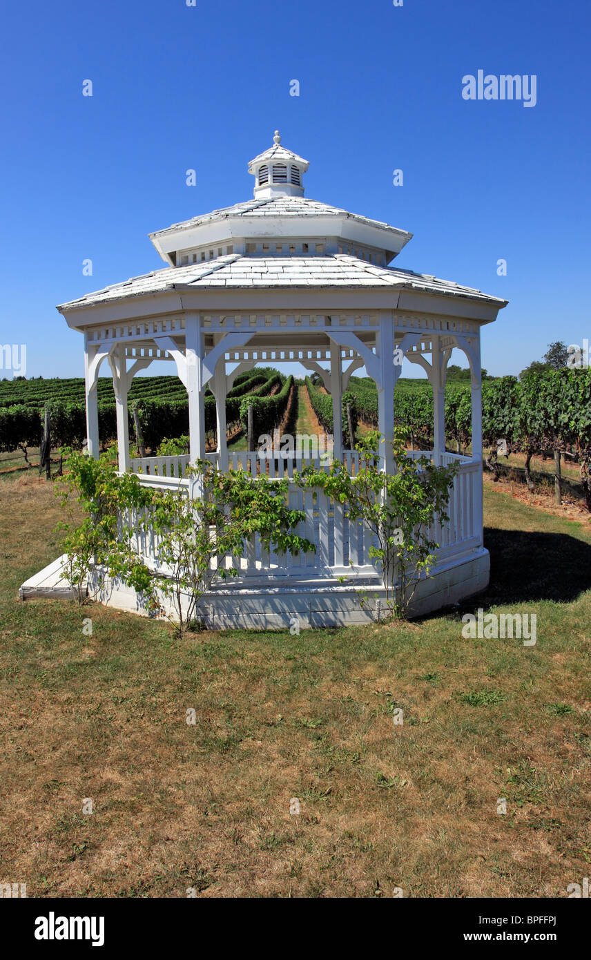 Pellegrini winery and vineyards Cutchogue north fork of eastern Long