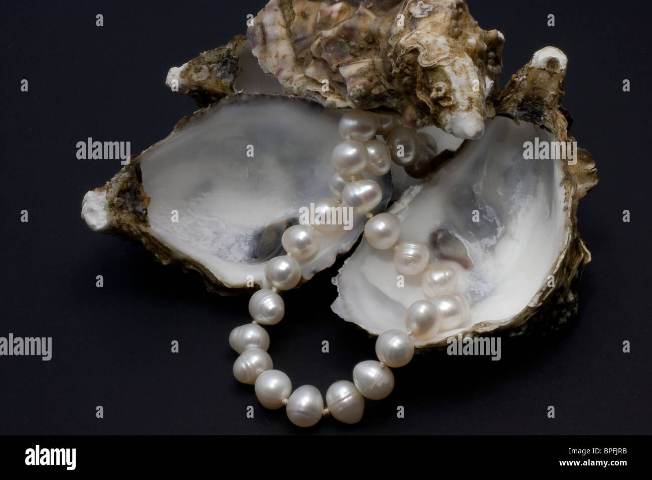 the oysters and their nacre Stock Photo Alamy