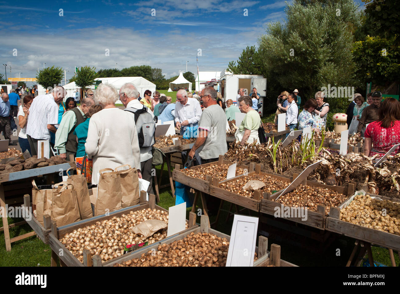 UK, England, Merseyside, Southport Flower Show, visitors buying plant bulbs at trader’s stall Stock Photo