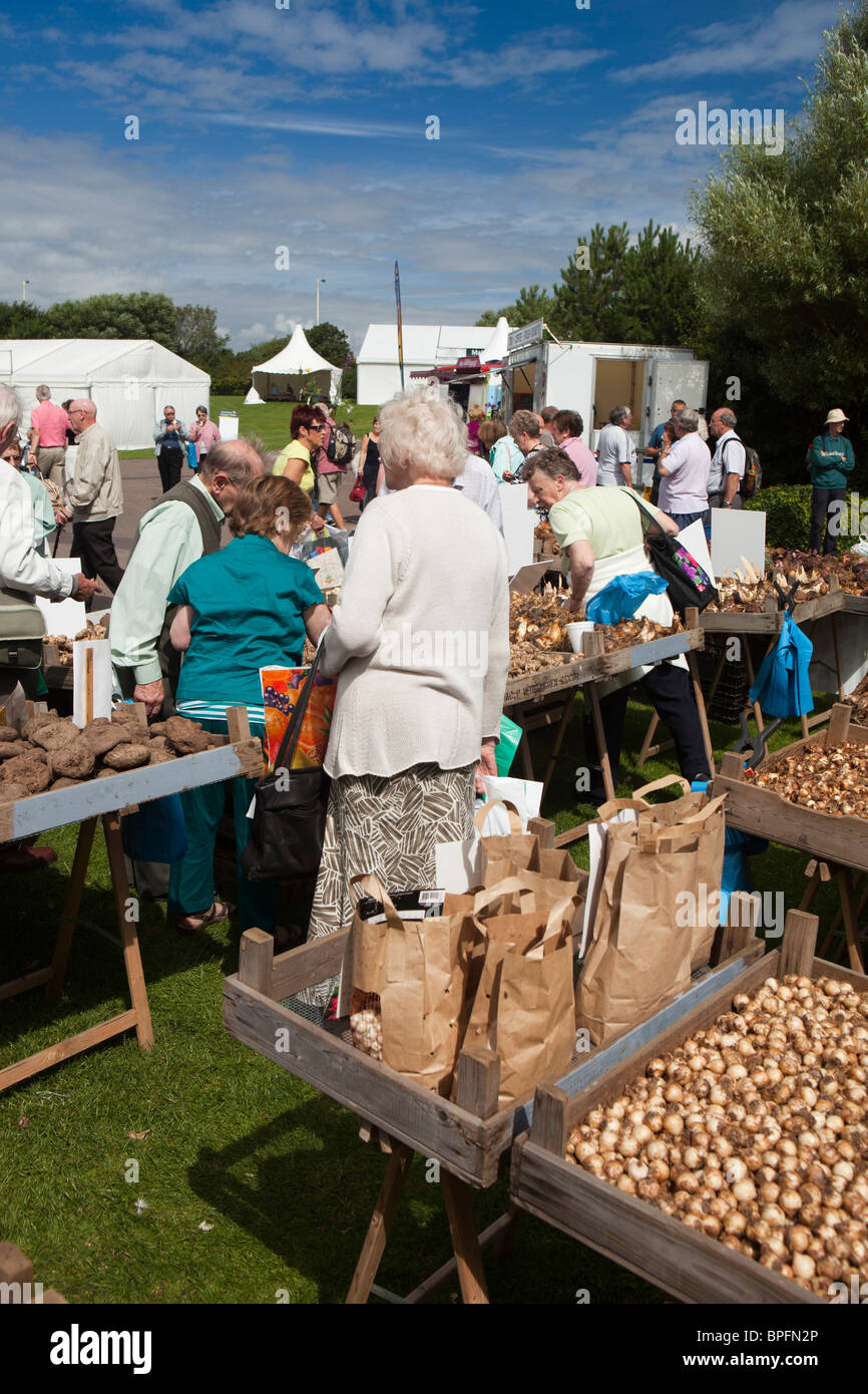 UK, England, Merseyside, Southport Flower Show, visitors buying plant bulbs at trader’s stall Stock Photo