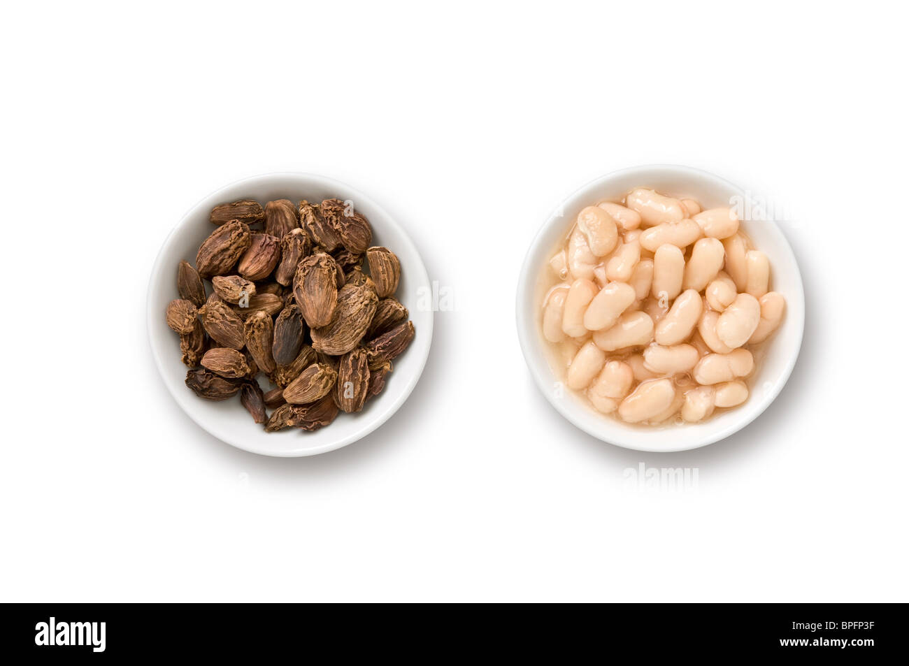 Black Cardamoms and camelline beans. Stock Photo