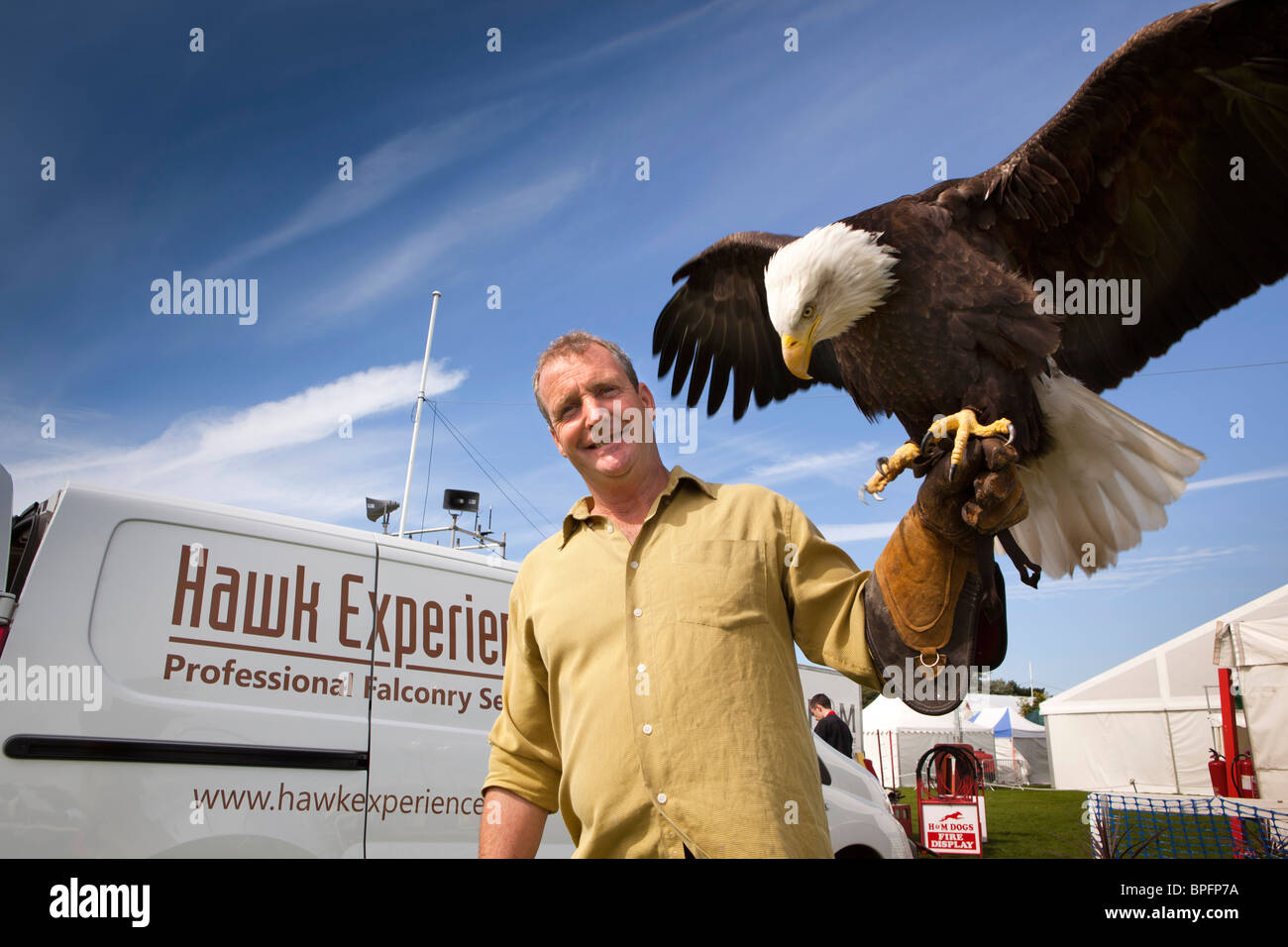 Meet The Harpy Eagle, The Fierce ian Raptor