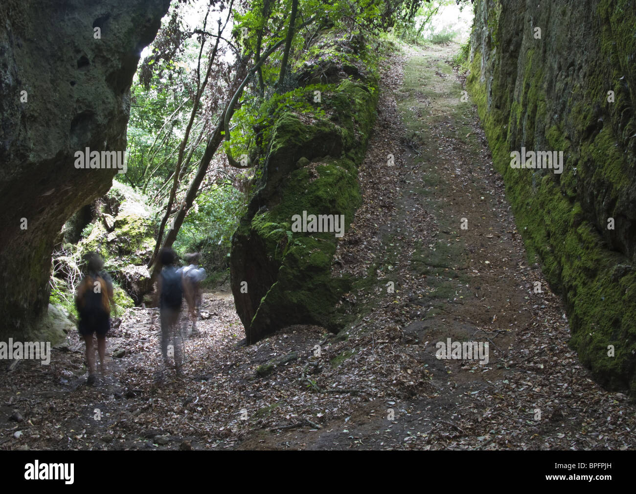 Medieval road in the Rio Cerreto river gorges near Nepi (VT), Lazio, Italy, the Tuscia region Stock Photo