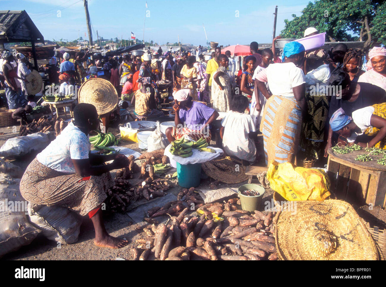 A woman selling yams in a rural market in Ghana Stock Photo Alamy