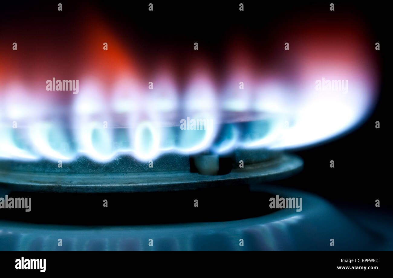 Flame of A gas Cooker Stock Photo