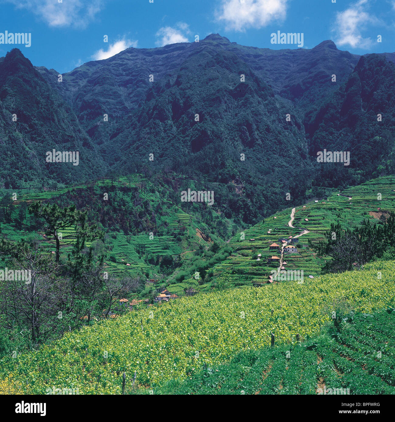 Inland Scenery, Madeira Stock Photo