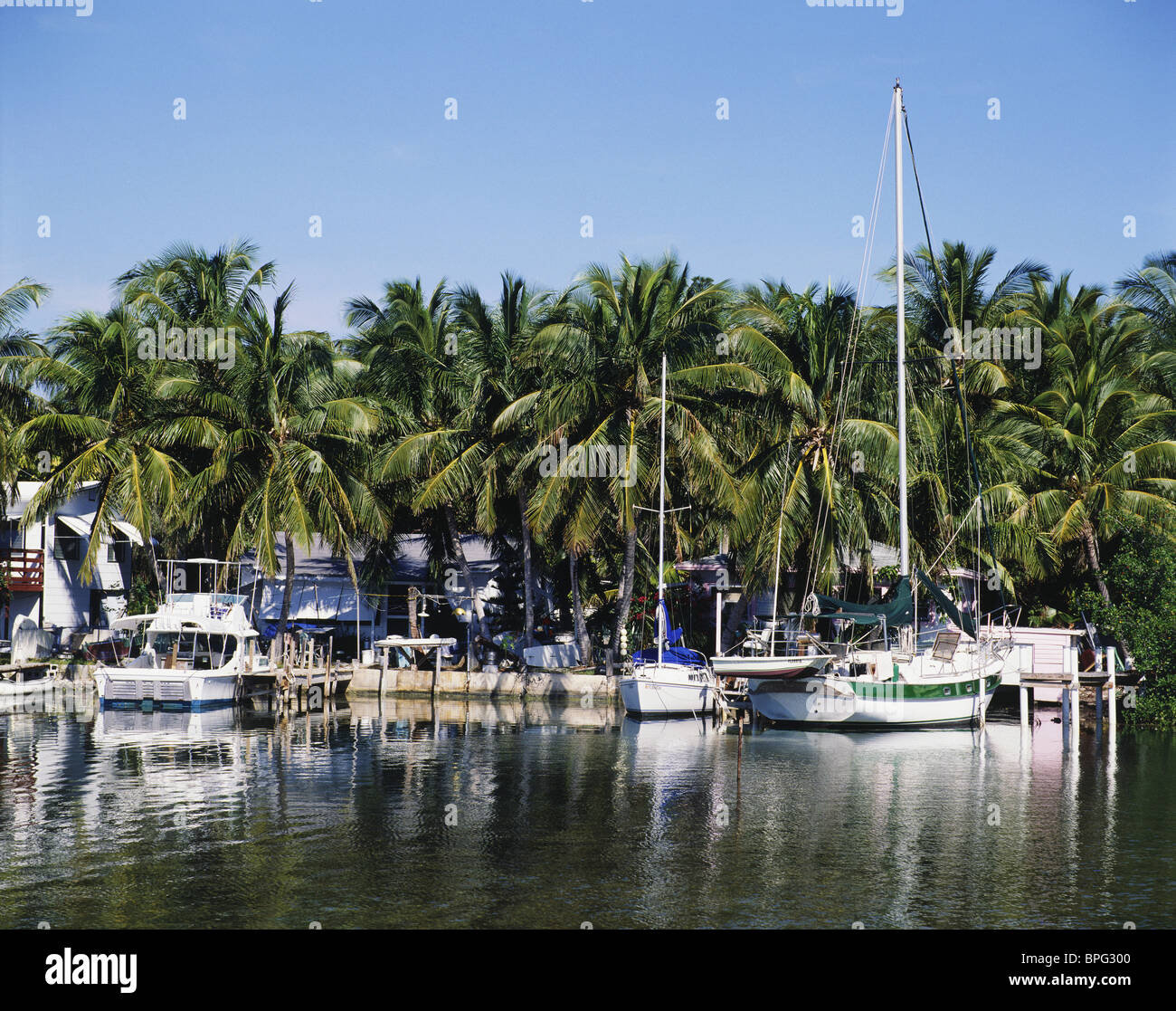 Duck Key, Florida Keys, Florida, USA Stock Photo Alamy