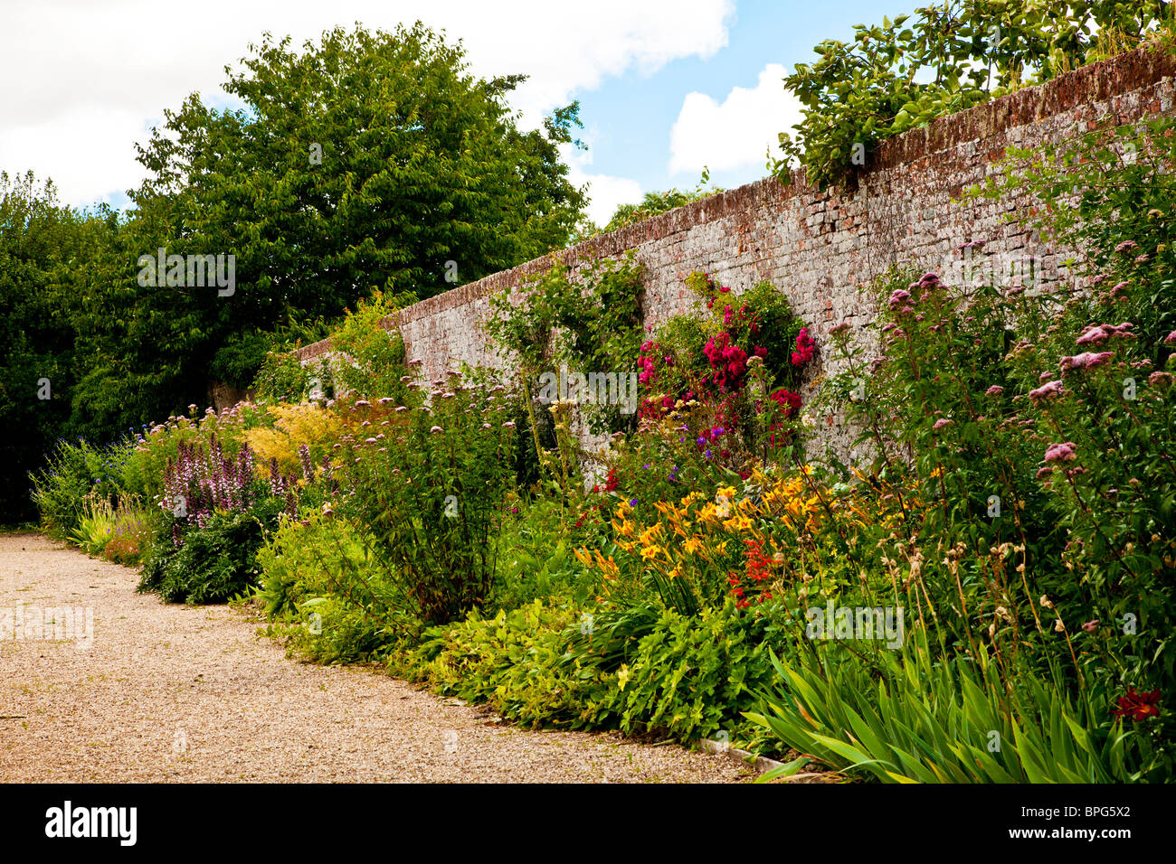 Herbaceous perennial border of summer flowers in a walled English country garden in Berkshire, England, UK Stock Photo