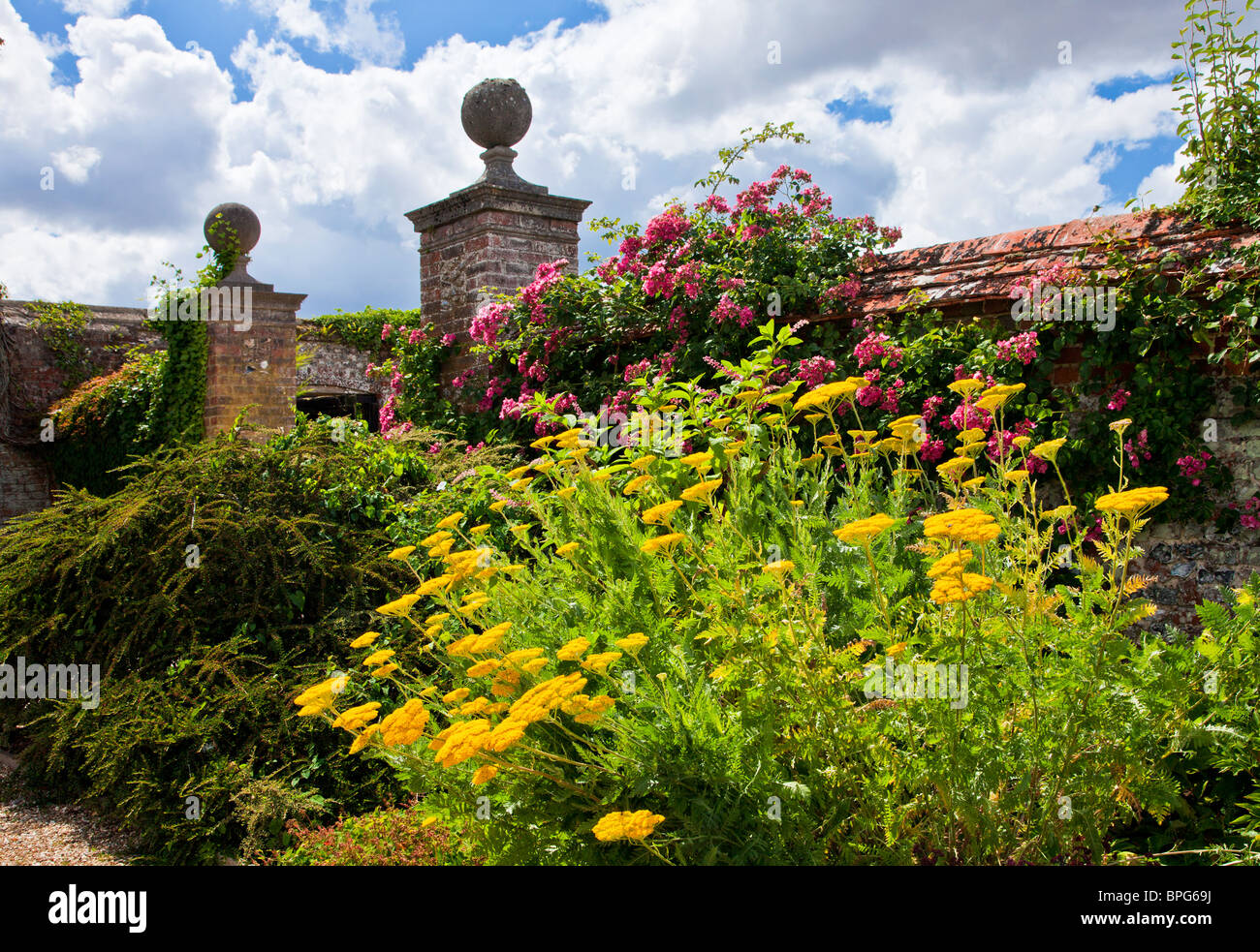 Herbaceous perennial border of summer flowers in a walled English country garden in Berkshire, England, UK Stock Photo