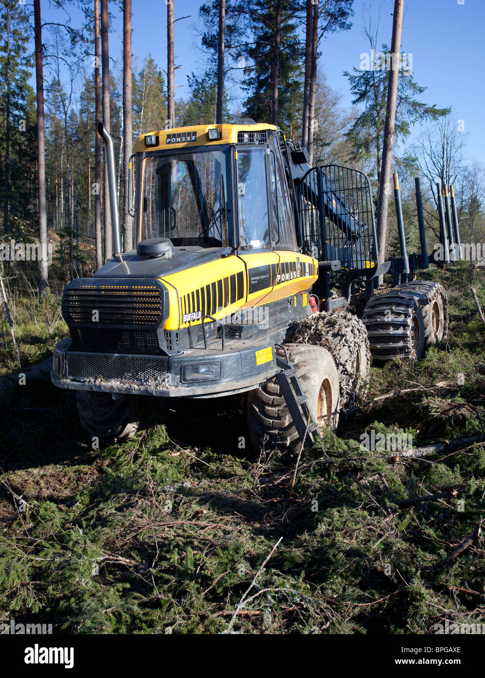 Ponsse Buffalo forwarder forestry vehicle at clear-cutting area Stock Photo  - Alamy