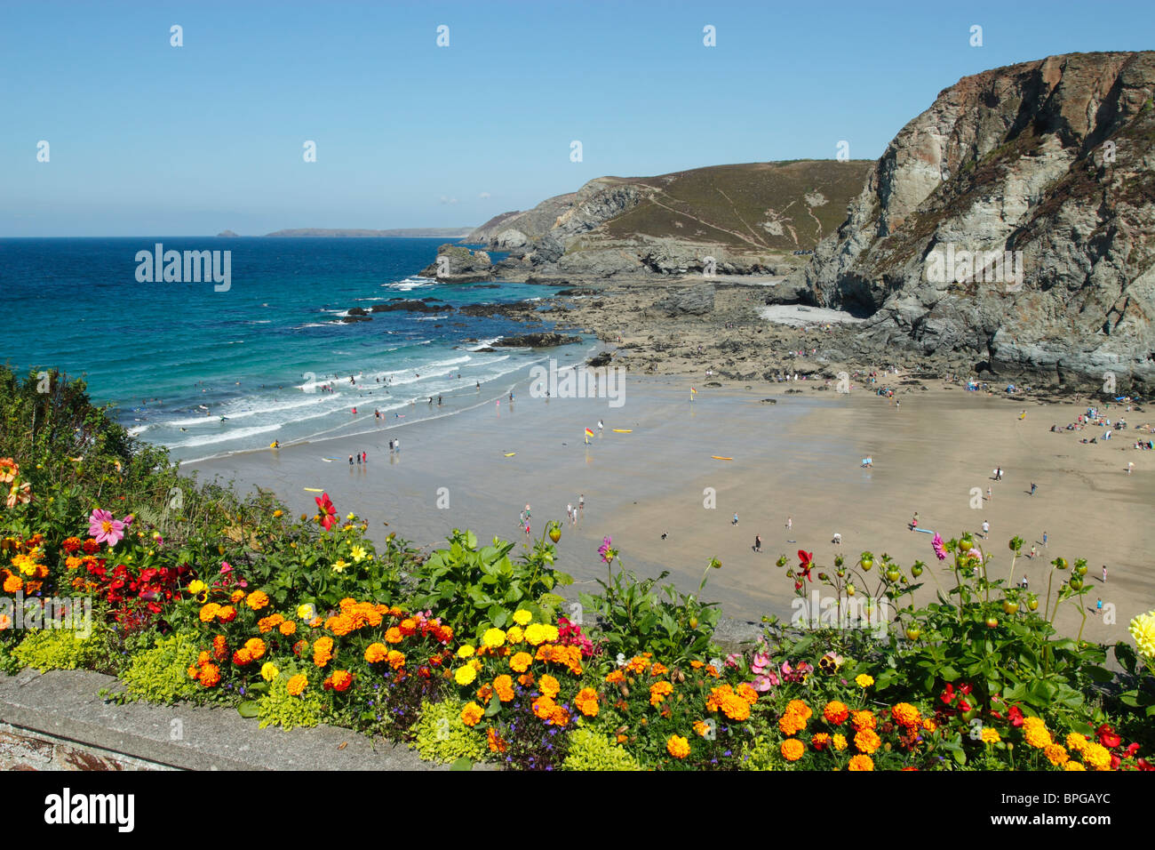 Trevaunance Cove beach near St. Agnes and colourful flowers, Cornwall UK. Stock Photo