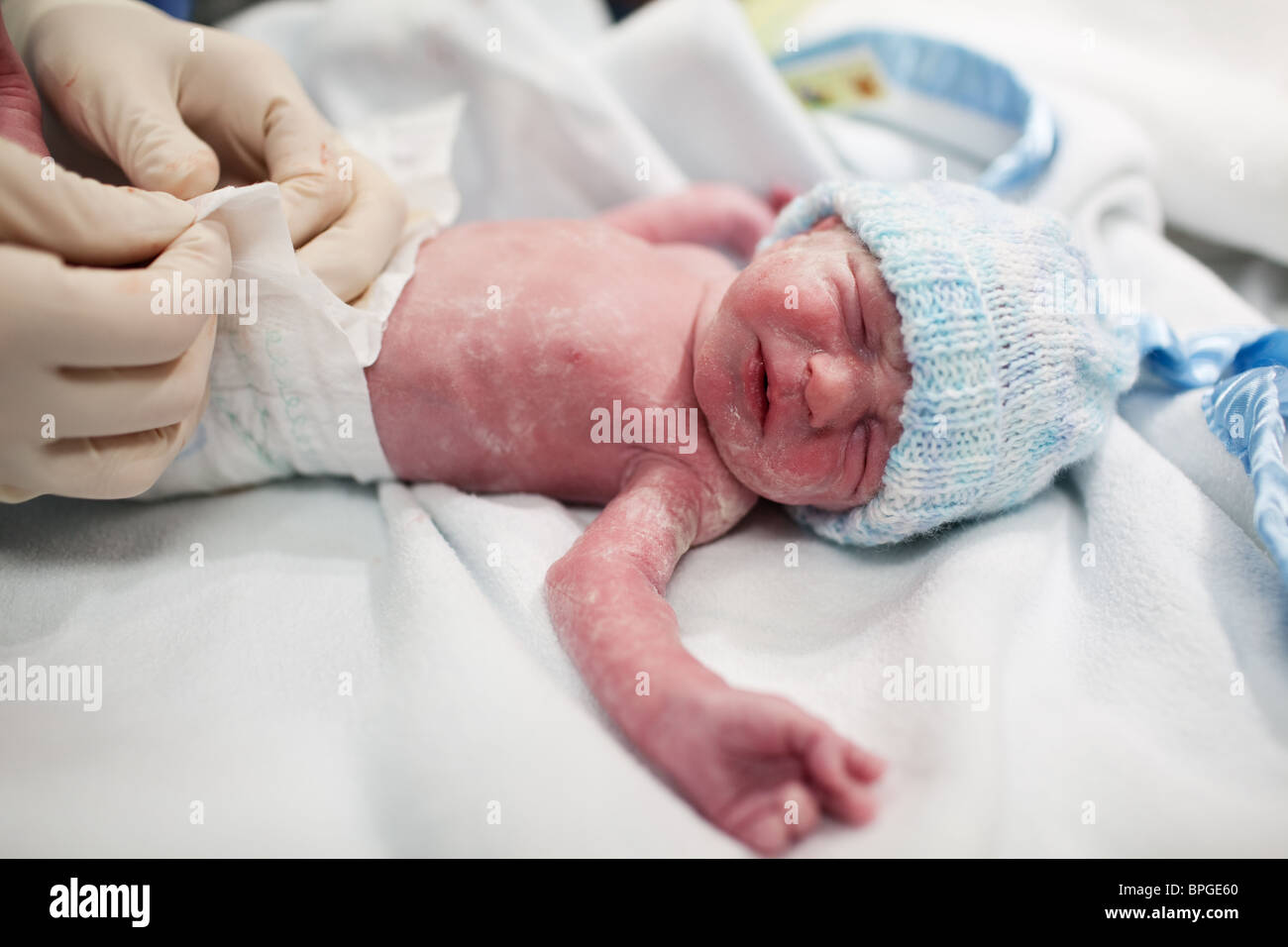 Vernix hires stock photography and images Alamy