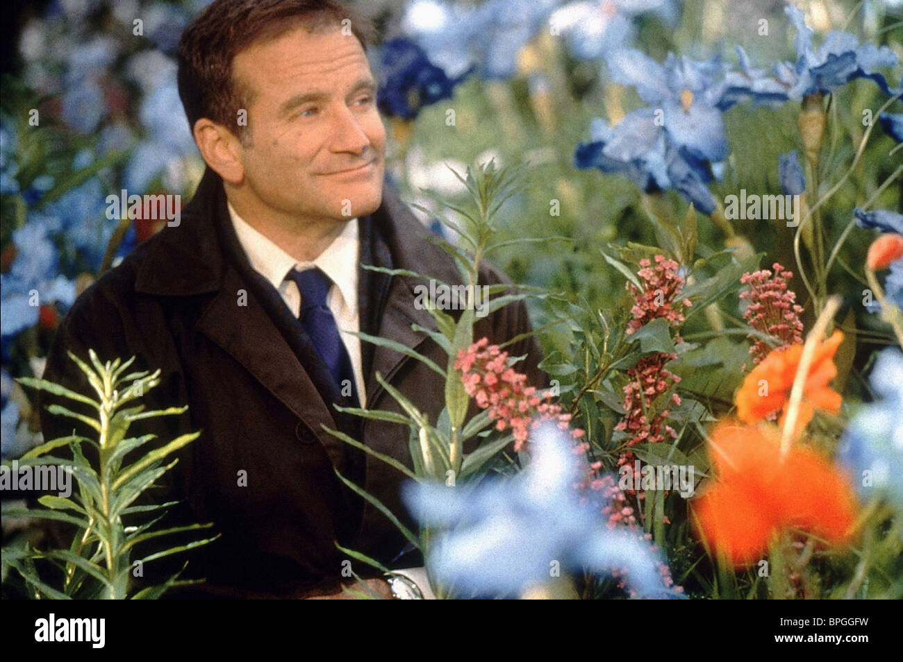What Dreams May Come Robin Williams Stock Photos & What Dreams May Come Robin Williams Stock