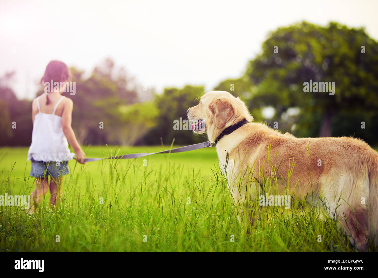 Cute Girl Walking Dog High Resolution Stock Photography and Images - Alamy