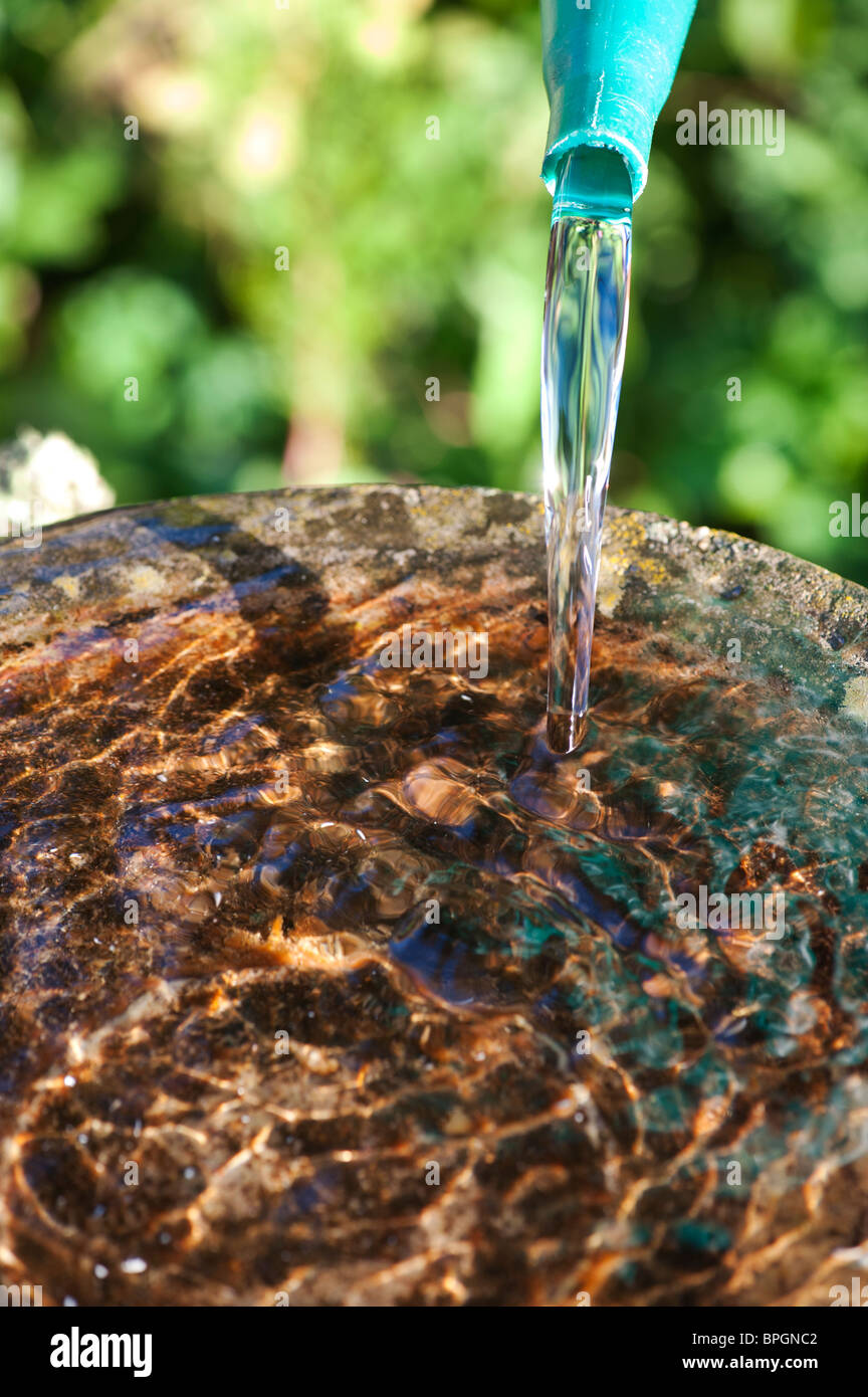 Pouring water into a birdbath Stock Photo Alamy