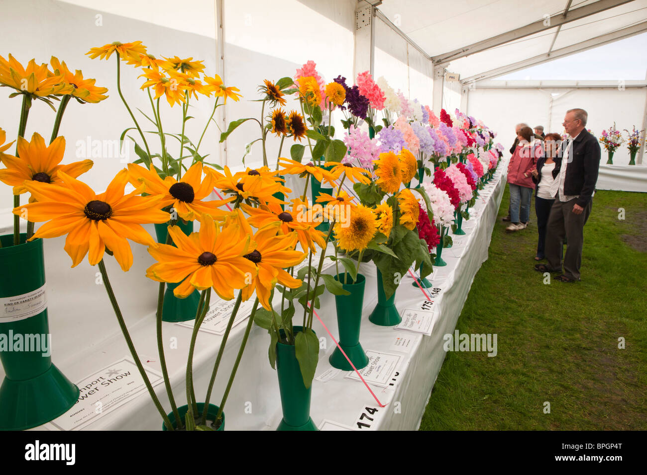 UK, England, Merseyside, Southport Flower Show, Amateur Marquee, prize winning cut flowers on display Stock Photo