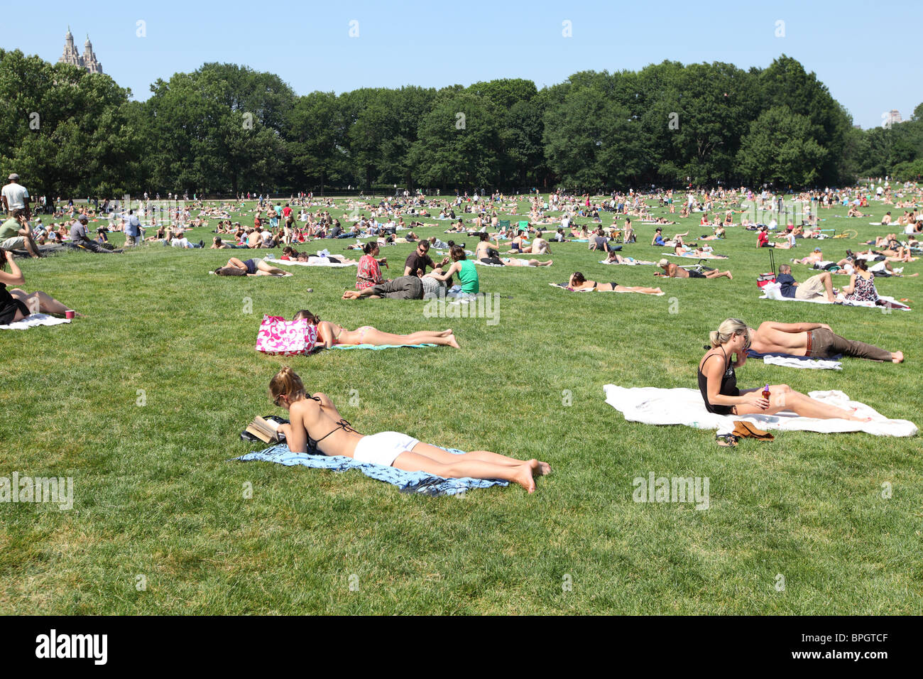 summer-sunbathers-in-central-park-stock-photo-alamy