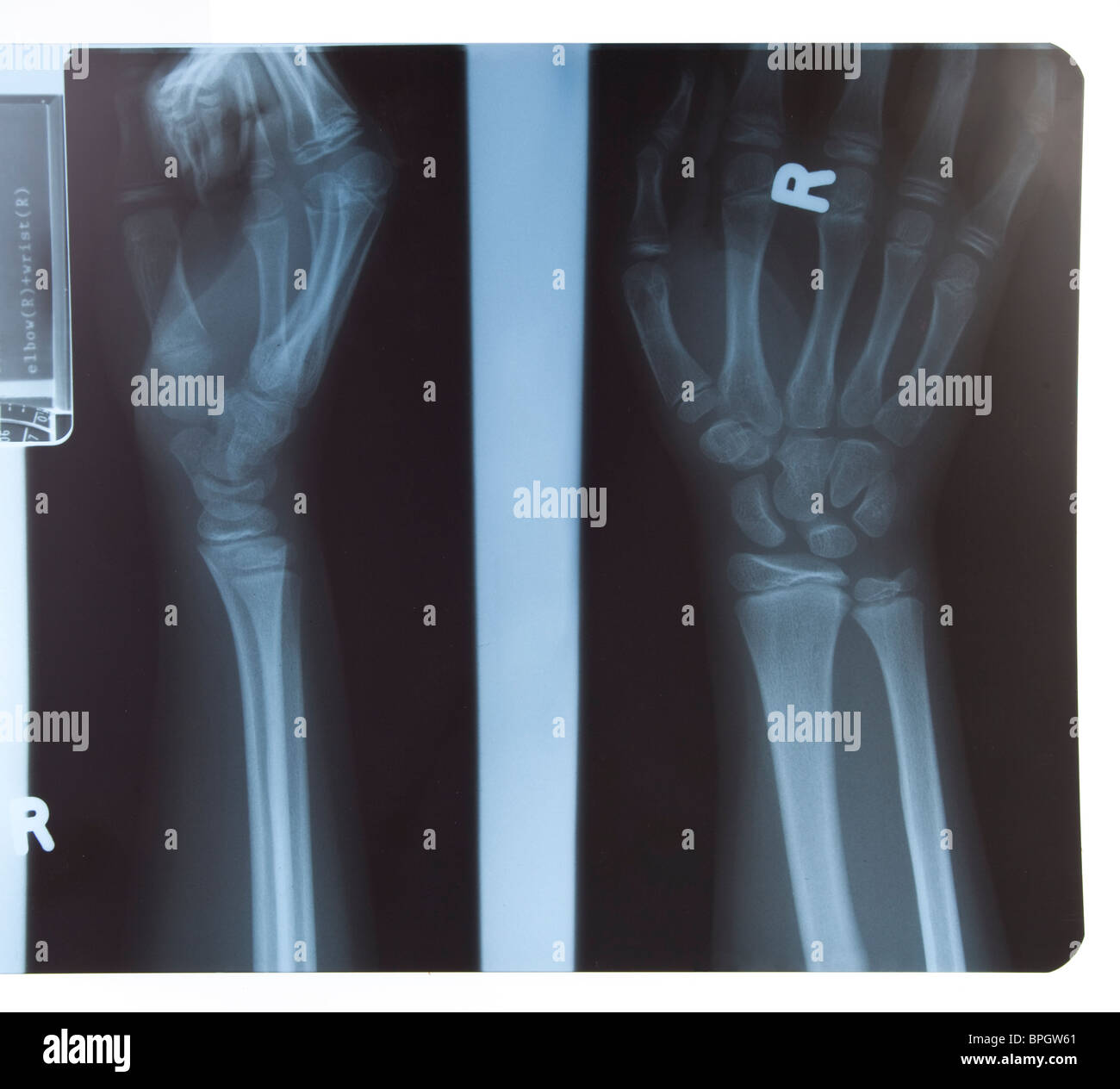 My Image 22