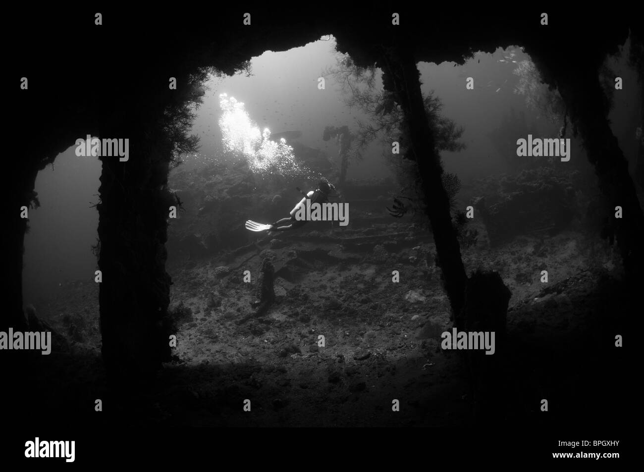A diver exploring the wreck of the USAT Liberty Glo, Tulamben, Bali, Indonesia. Stock Photo