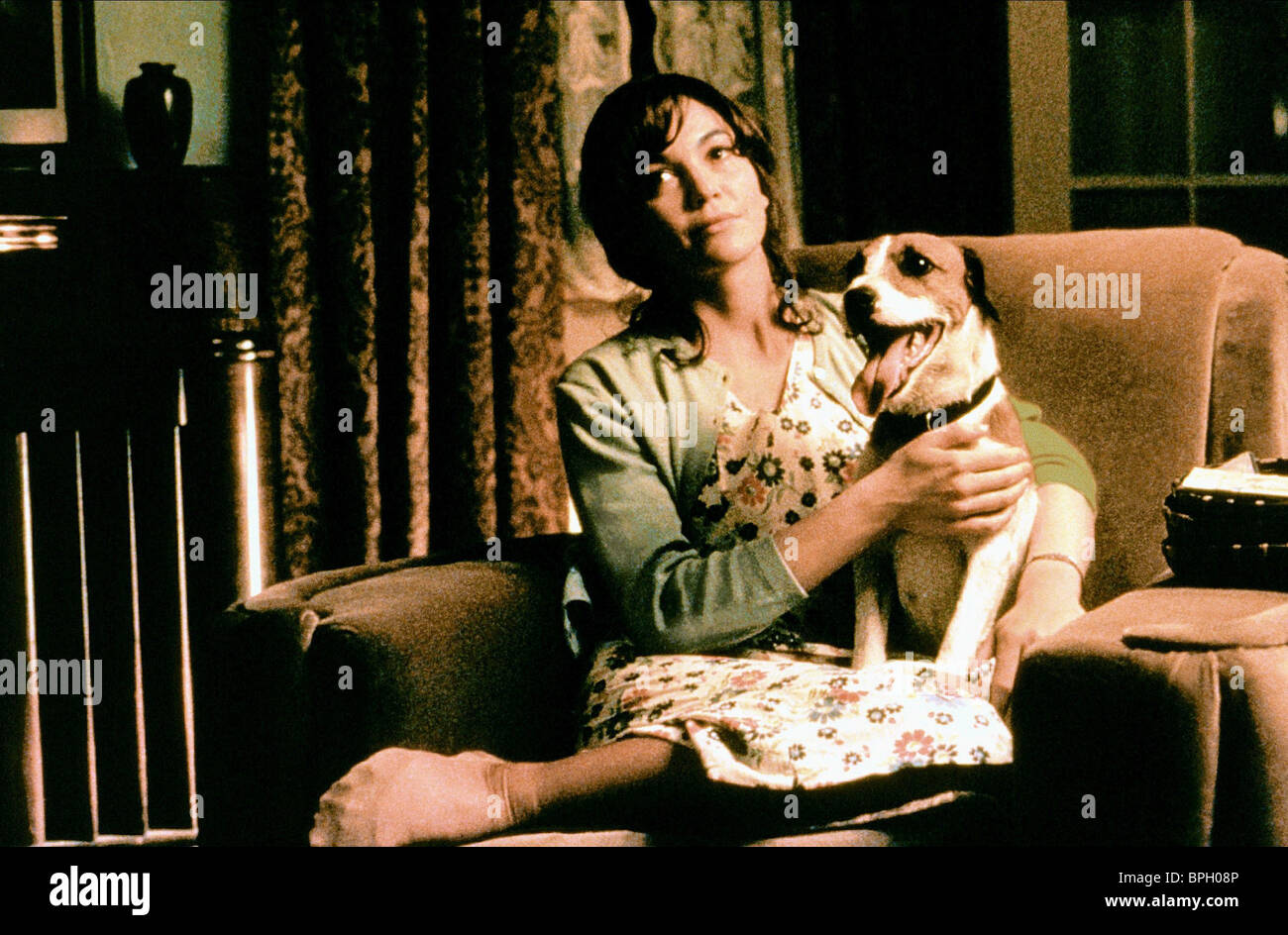 Diane Lane Dog My Dog Skip 00 Stock Photo Alamy