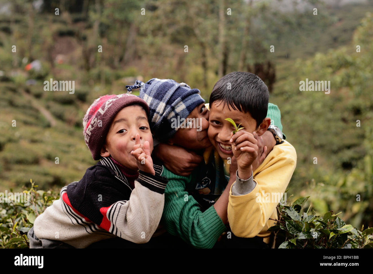 Child Labour Tea Children In A Tea Plantation High Resolution Stock Photography and ...