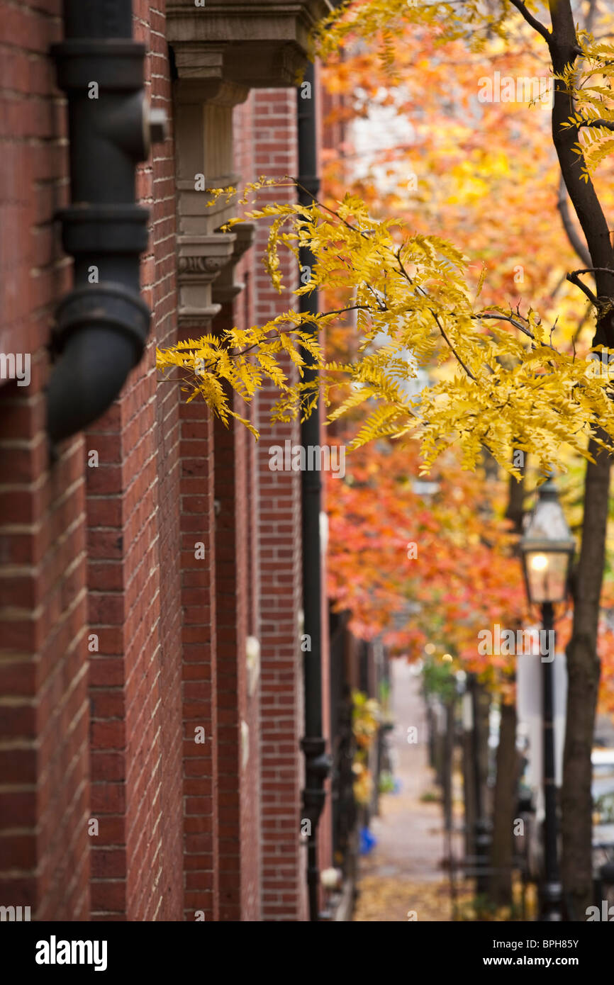 Vernon street hires stock photography and images Alamy