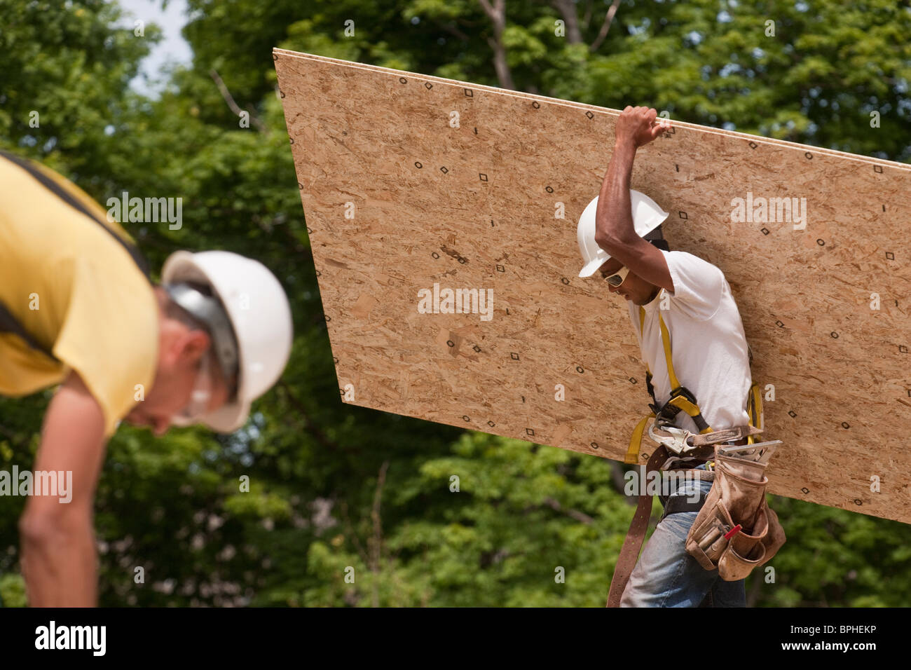 Carpenters carrying a particle board Stock Photo